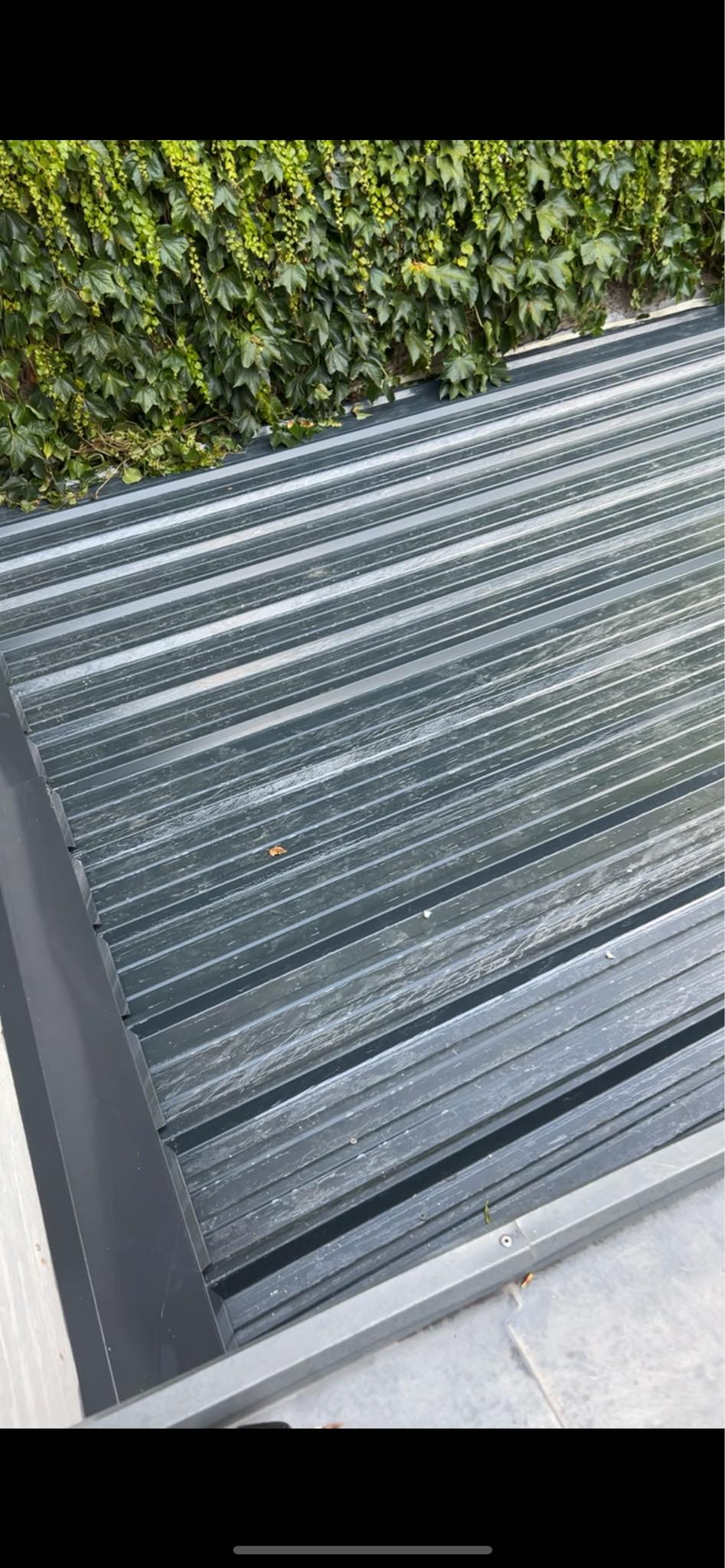 bf300a16 cd0b 45cf ae42 f066f4770adf