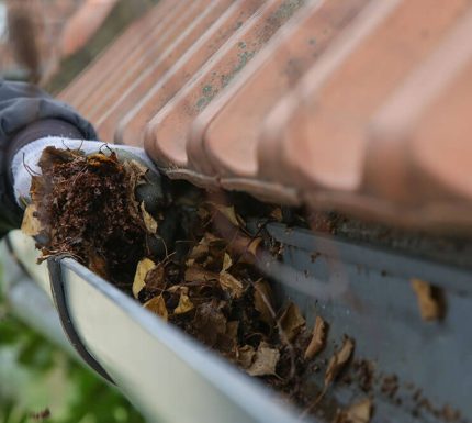 quelle frequence nettoyer toiture